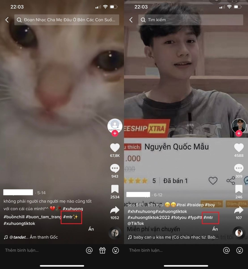 MTR là gì (hình 1)