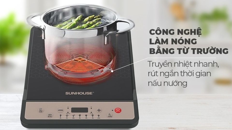 Mua bếp từ ở đâu tại Quảng Ngãi 1