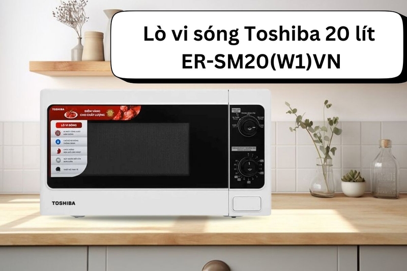 mua lò vi sóng ở đâu tại nam định 2