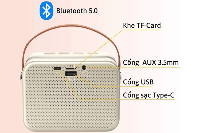 Mua loa Pack&Go ở đâu uy tín 2