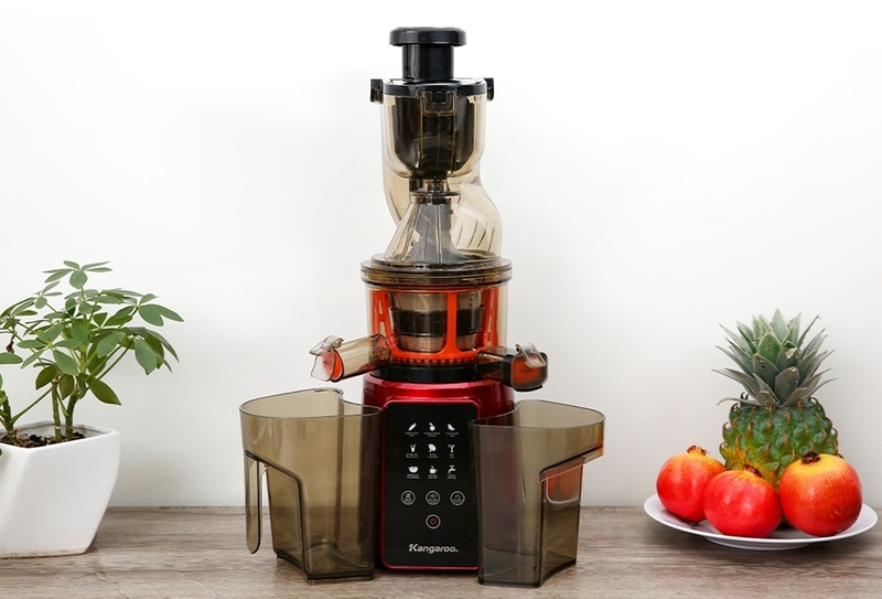 Mua máy ép trái cây ở đâu tại Bắc Giang - Ảnh 6