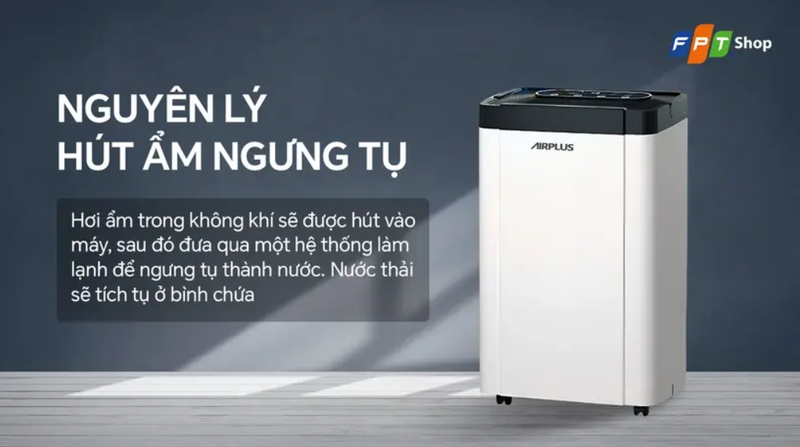 mua m&aacute;y h&uacute;t ẩm AirPlus ở đ&acirc;u uy t&iacute;n h&igrave;nh 5.png