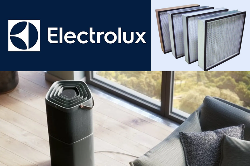 mua m&aacute;y lọc kh&ocirc;ng kh&iacute; Electrolux ở đ&acirc;u uy t&iacute;n (1)