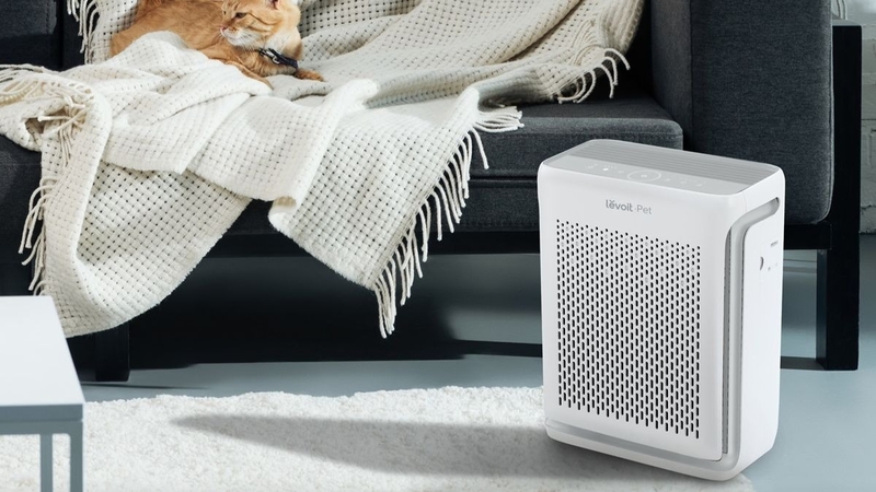 mua m&aacute;y lọc kh&ocirc;ng kh&iacute; Levoit ở đ&acirc;u uy t&iacute;n 1