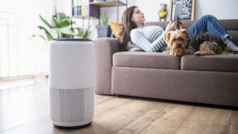 Mua máy lọc không khí ở đâu tại Bắc Giang?