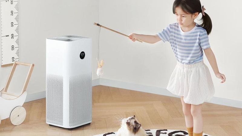 Mua máy lọc không khí ở đâu tại Đồng Tháp?