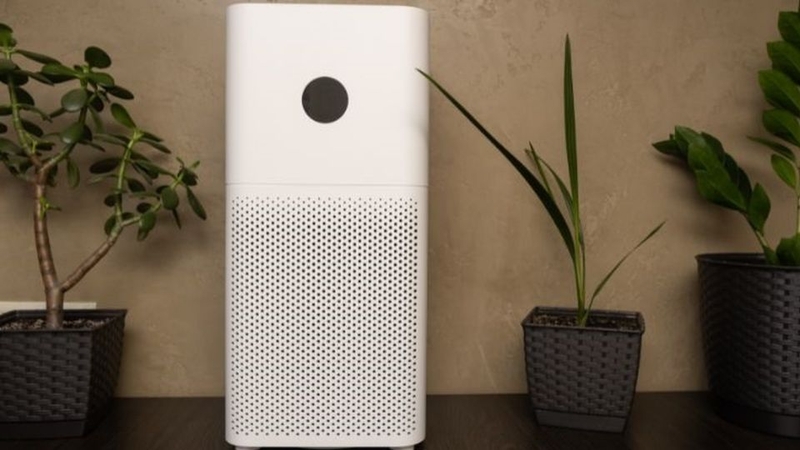 Loại bỏ tận gốc nấm mốc và những tác nhân gây dị ứng