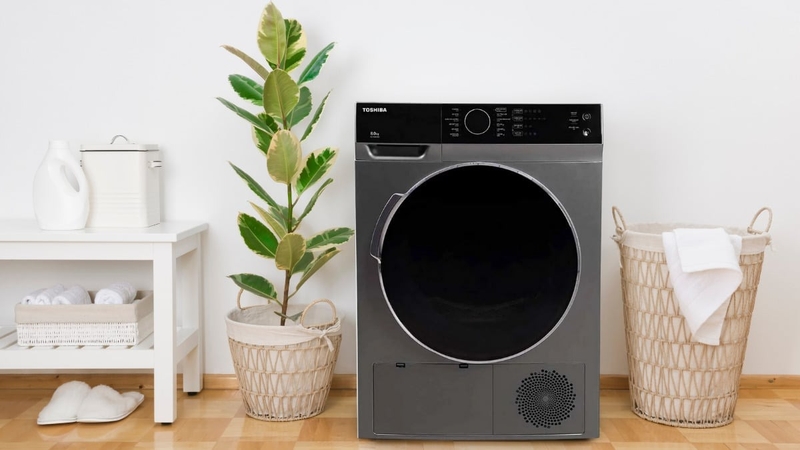 mua máy sấy quần áo ở đâu tại Nam Định (ảnh 4)