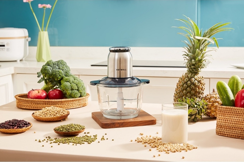 Máy xay thịt Hotwell MG20H3