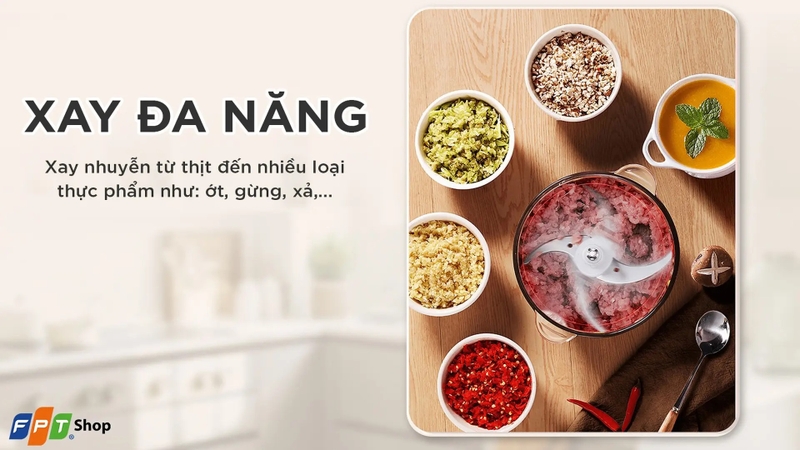 Mua máy xay thịt ở đâu tại Phú Thọ 2