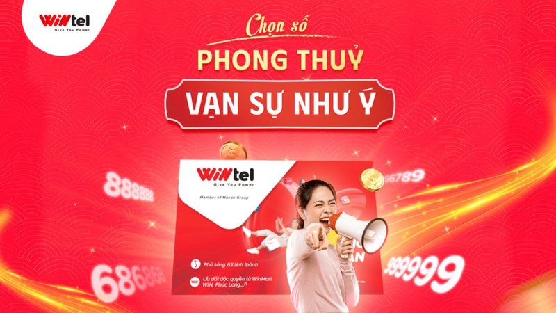 Cập nhật thông tin số đẹp hiệu quả