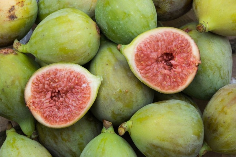 mùa thu có quả gì (ảnh 11)