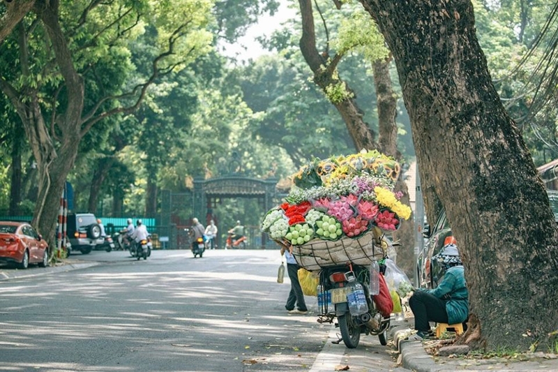 mùa thu có quả gì (ảnh 1)