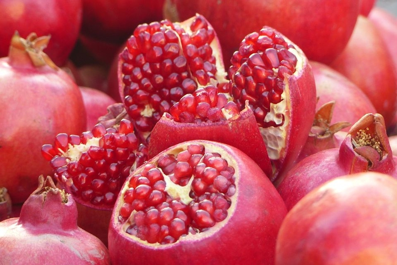 mùa thu có quả gì (ảnh 5)