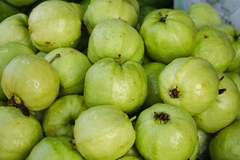 mùa thu có quả gì (ảnh 9)