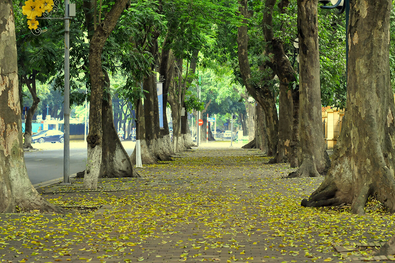 Mùa thu Hà Nội đi đâu 3