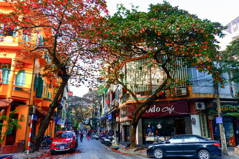 Mùa thu Hà Nội đi đâu 4