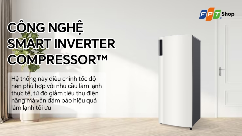 mua tủ đông lg ở đâu uy tín (ảnh 7)