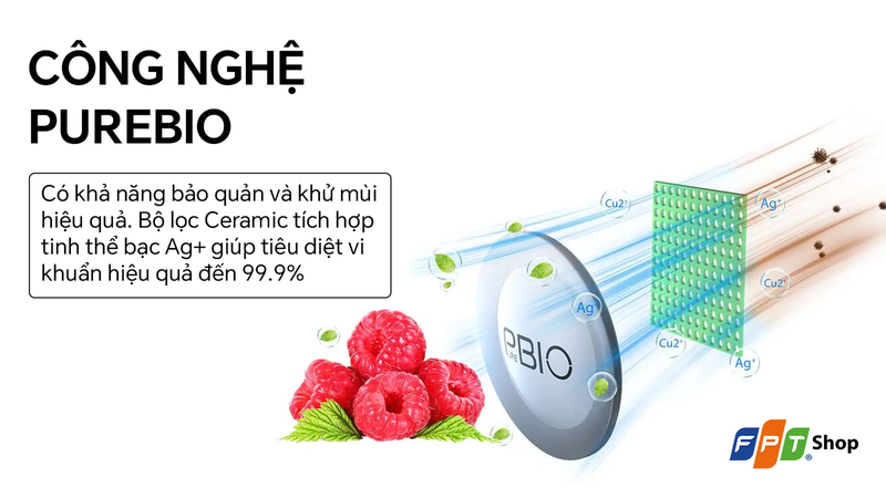 Mua tủ lạnh ngăn đá dưới ở đâu uy tín ảnh 6