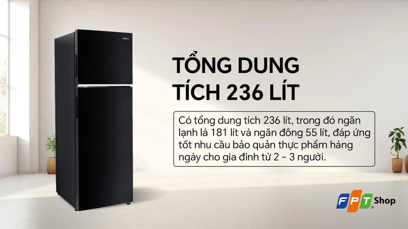 Mua tủ lạnh Trung Quốc ở đâu uy tín ảnh 10
