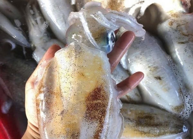 mực lá nướng ảnh 3