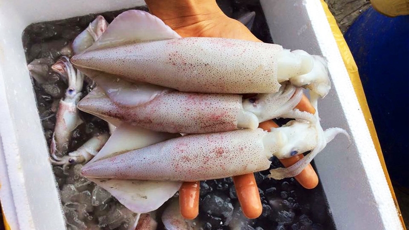 mực lụi nướng sả 6