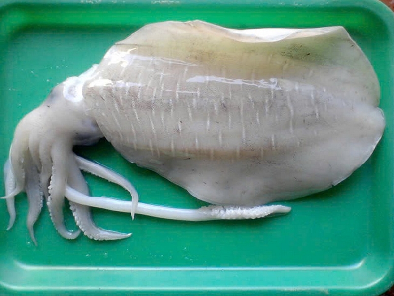 mực nướng chao ảnh 2