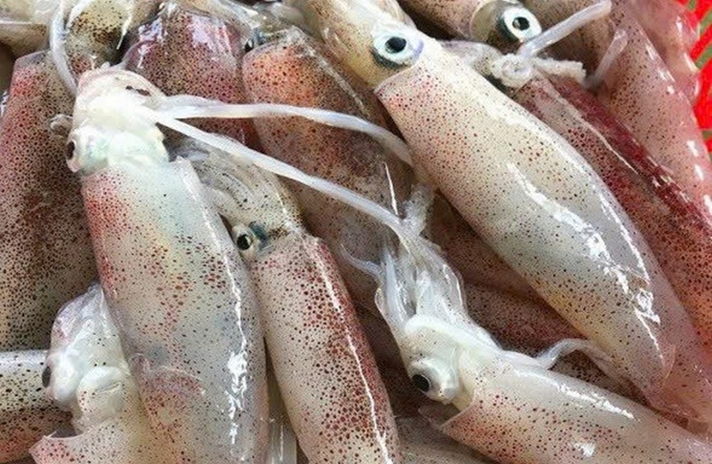 Mực rim mặn ngọt ảnh 7