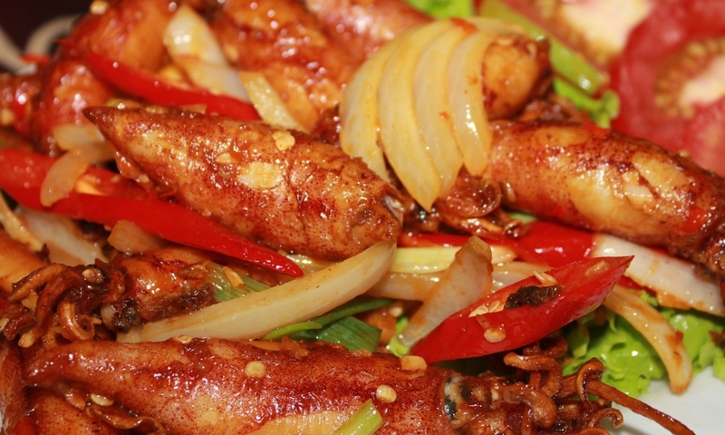 Mực trứng (hình 10)