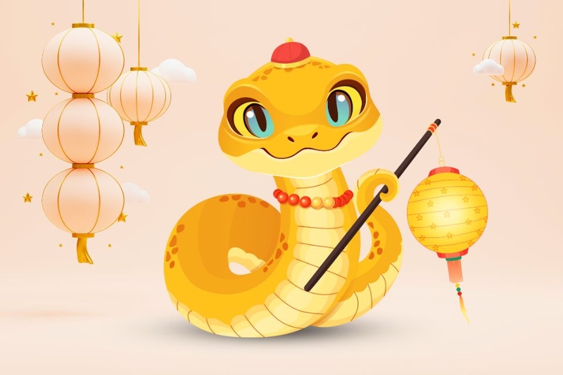 Năm 2025 tuổi Tỵ hợp màu gì (ảnh 1)