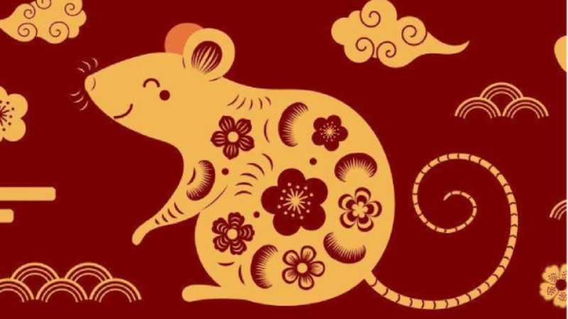 Tuổi Tý