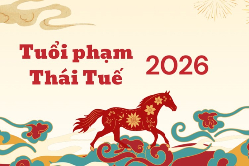 nam-2026-tuoi-nao-pham-thai-tue-5.jpg