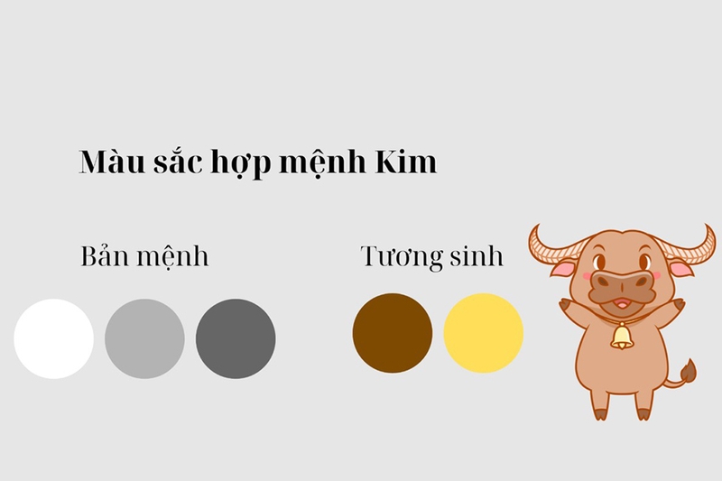Năm 2026 tuổi Sửu hợp màu gì 3