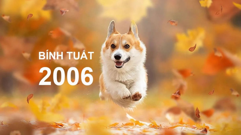 Tuổi Bính Tuất 2006 mệnh Thổ
