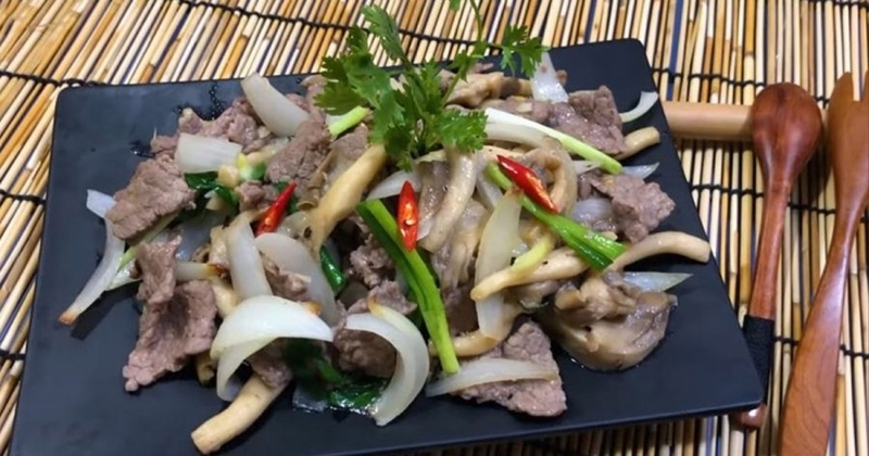 nấm bào ngư xám ảnh 6