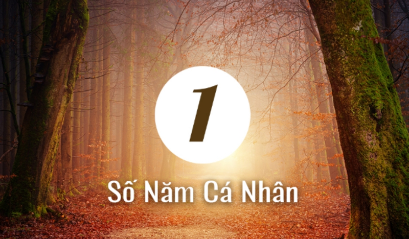 Năm cá nhân 2026 của bạn là gì 1