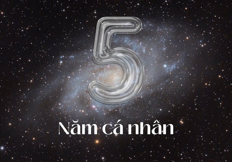 Năm cá nhân 2026 của bạn là gì 2