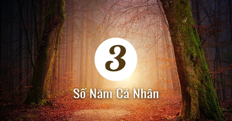 năm cá nhân số 3 năm 2026 2