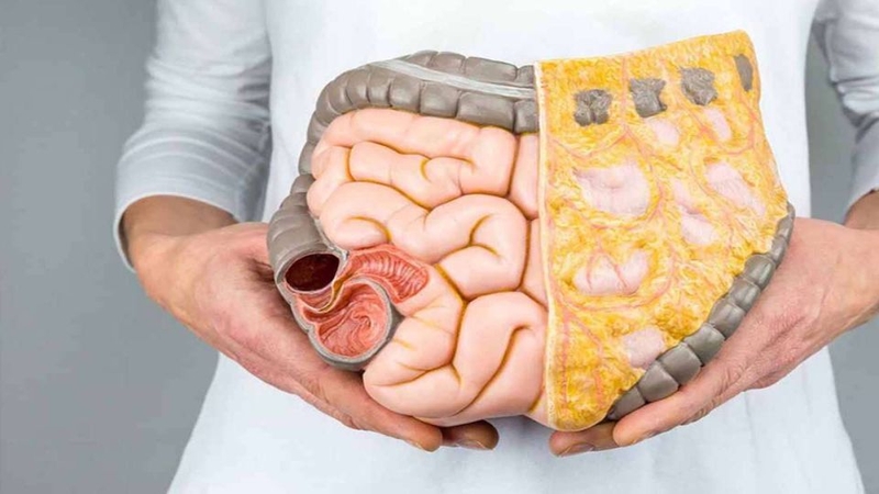 Bảo vệ hệ tiêu hóa, hỗ trợ điều trị viêm loét dạ dày và ruột