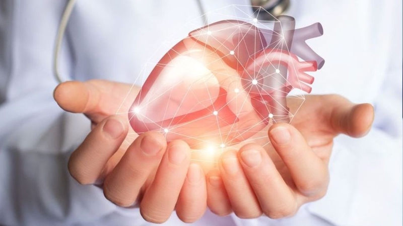 Giảm nguy cơ mắc bệnh tim mạch