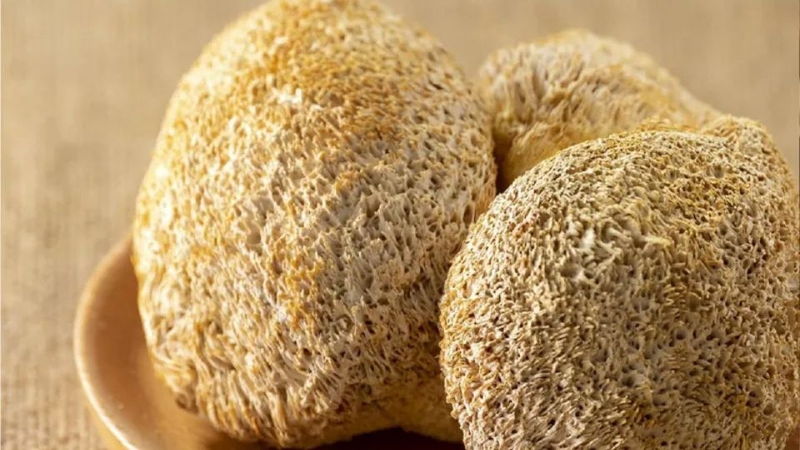 Hỗ trợ điều trị lo âu và trầm cảm