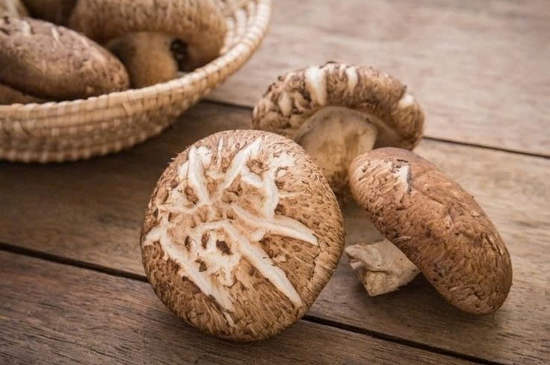 Nấm đông cô ảnh 1