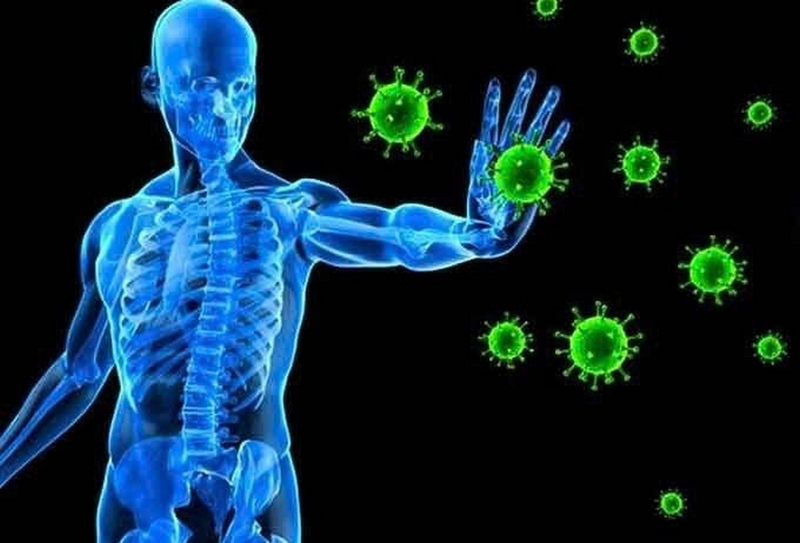 Nấm đông cô ảnh 2