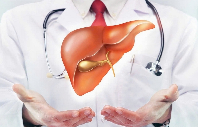 Nấm đông cô ảnh 3