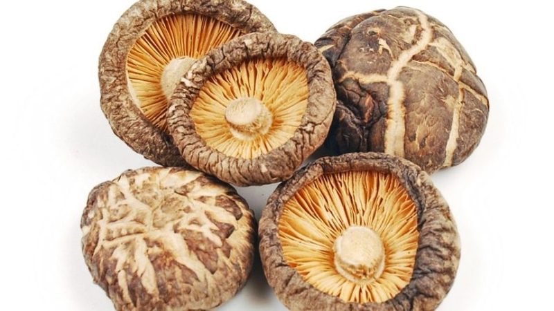 Nấm hương khô 1