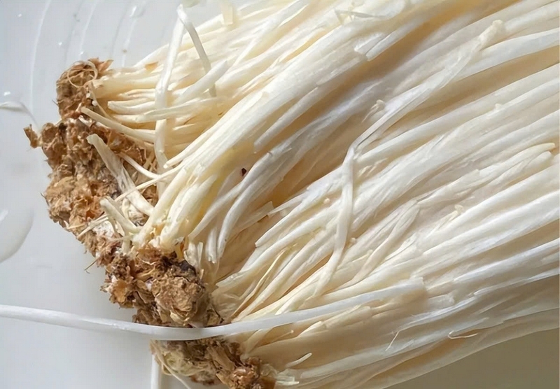 Nấm kim châm để tủ lạnh được bao lâu ảnh 3