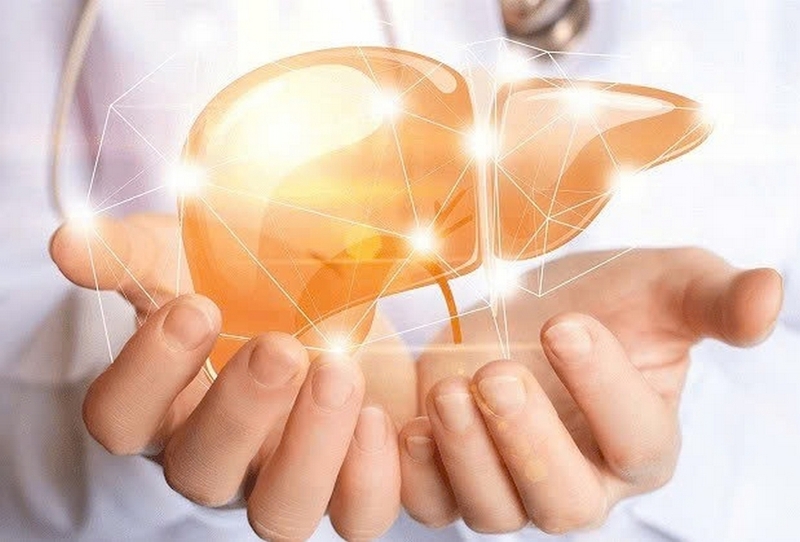 Nấm linh chi trắng ảnh 3