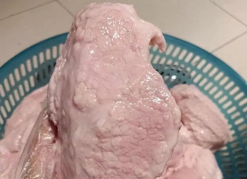 Nầm lợn là gì ảnh 1
