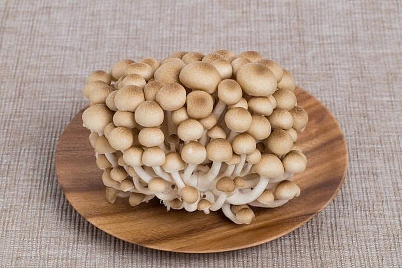Nấm ngọc tẩm ảnh 2