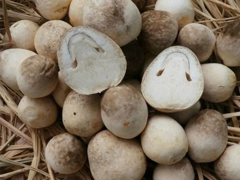 Nấm rơm bao nhiêu calo ảnh 2